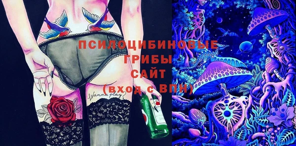мескалин Богданович