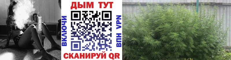 Шишки марихуана ГИДРОПОН  кракен как зайти  Борисоглебск 